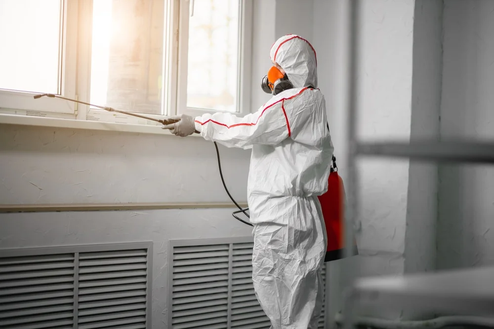 Professional mold remediation services in De Leon Springs, FL